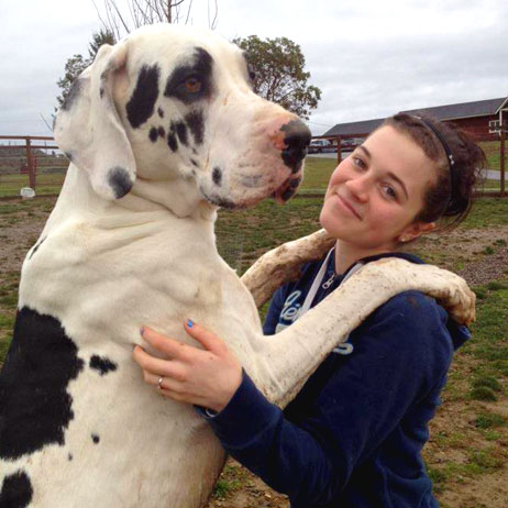 We Care about your dogs health